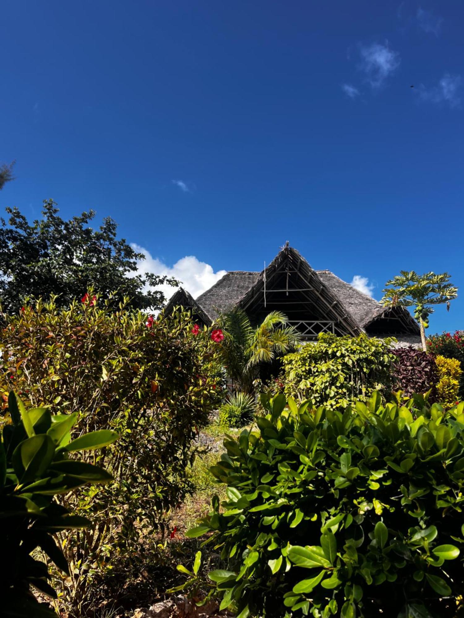 Sazani Beach Lodge And Tidal Lounge Nungwi Exterior photo
